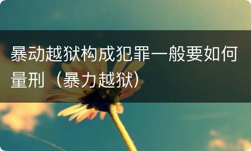 暴动越狱构成犯罪一般要如何量刑（暴力越狱）