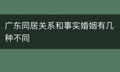 广东同居关系和事实婚姻有几种不同