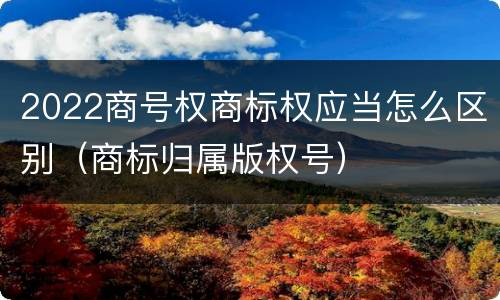 2022商号权商标权应当怎么区别（商标归属版权号）
