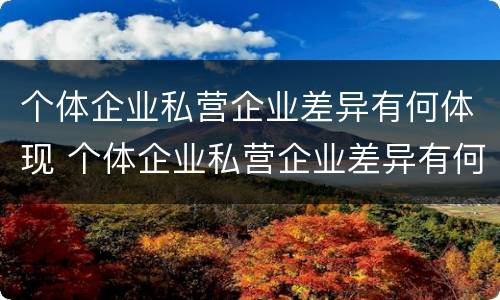 个体企业私营企业差异有何体现 个体企业私营企业差异有何体现和影响