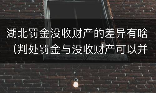 湖北罚金没收财产的差异有啥（判处罚金与没收财产可以并罚吗）