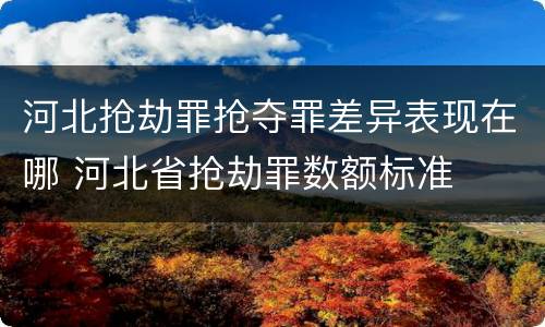 河北抢劫罪抢夺罪差异表现在哪 河北省抢劫罪数额标准