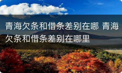 青海欠条和借条差别在哪 青海欠条和借条差别在哪里