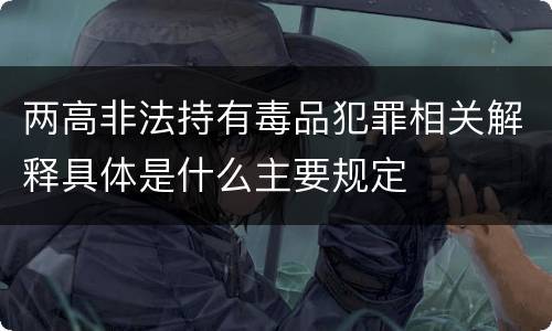 两高非法持有毒品犯罪相关解释具体是什么主要规定