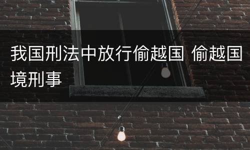 我国刑法中放行偷越国 偷越国境刑事