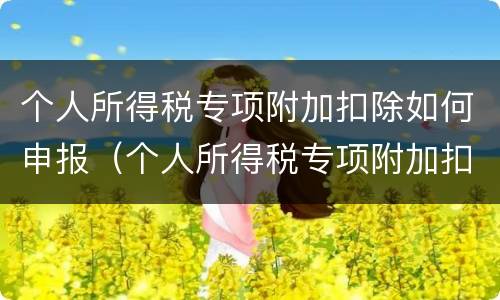 个人所得税专项附加扣除如何申报（个人所得税专项附加扣除如何申报缴纳）