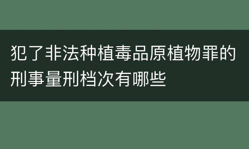 犯了非法种植毒品原植物罪的刑事量刑档次有哪些