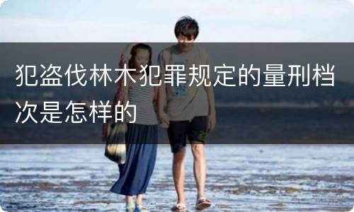 犯盗伐林木犯罪规定的量刑档次是怎样的
