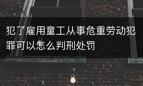 犯了雇用童工从事危重劳动犯罪可以怎么判刑处罚