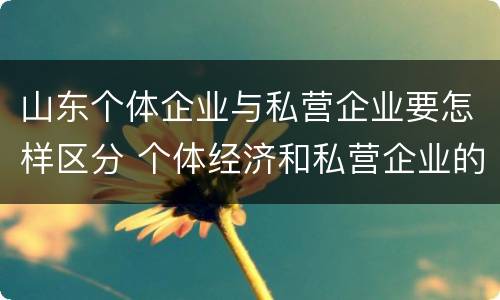 山东个体企业与私营企业要怎样区分 个体经济和私营企业的区别
