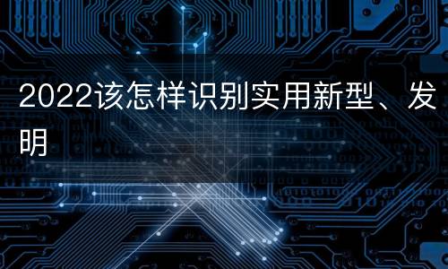 2022该怎样识别实用新型、发明