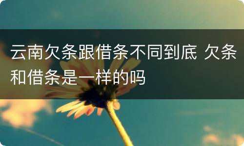 云南欠条跟借条不同到底 欠条和借条是一样的吗