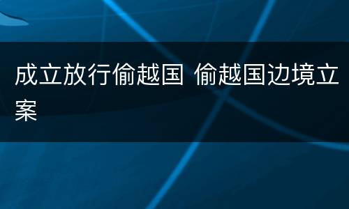 成立放行偷越国 偷越国边境立案