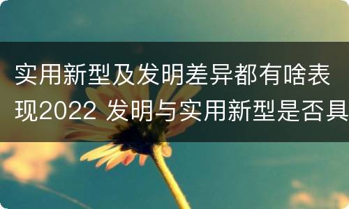 实用新型及发明差异都有啥表现2022 发明与实用新型是否具有实用性