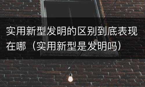 实用新型发明的区别到底表现在哪（实用新型是发明吗）