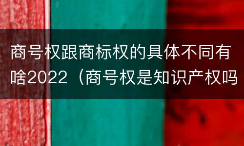 商号权跟商标权的具体不同有啥2022（商号权是知识产权吗）