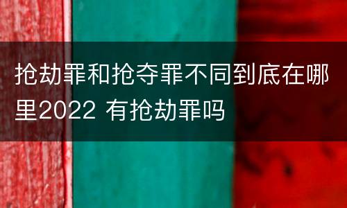 抢劫罪和抢夺罪不同到底在哪里2022 有抢劫罪吗