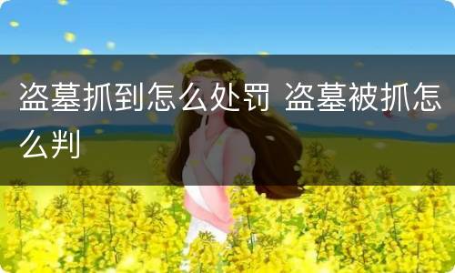 盗墓抓到怎么处罚 盗墓被抓怎么判