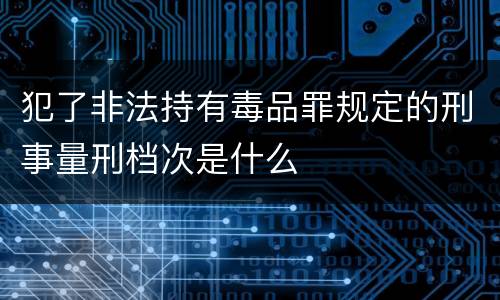 犯了非法持有毒品罪规定的刑事量刑档次是什么