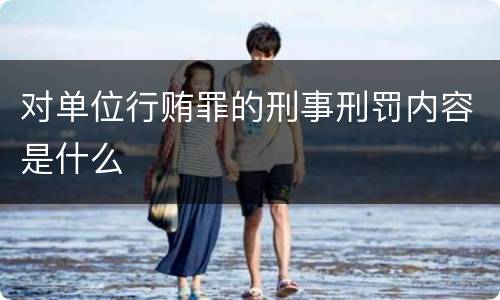对单位行贿罪的刑事刑罚内容是什么