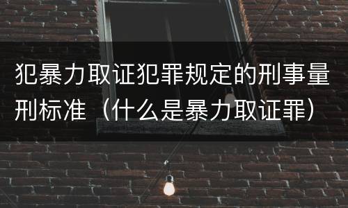 犯暴力取证犯罪规定的刑事量刑标准（什么是暴力取证罪）