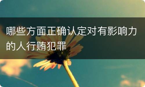 哪些方面正确认定对有影响力的人行贿犯罪