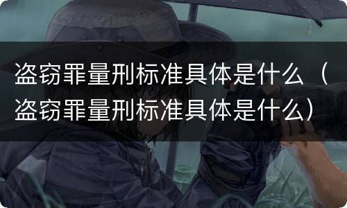 盗窃罪量刑标准具体是什么（盗窃罪量刑标准具体是什么）