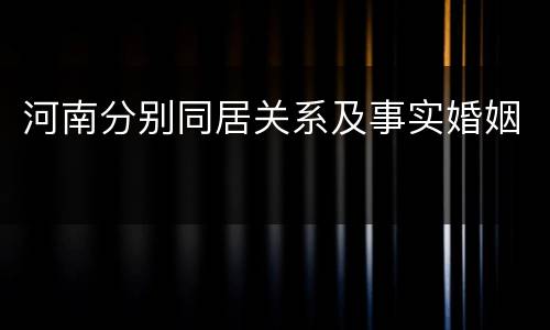 河南分别同居关系及事实婚姻