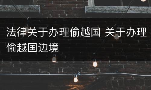 法律关于办理偷越国 关于办理偷越国边境