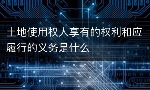 土地使用权人享有的权利和应履行的义务是什么