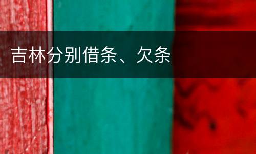 吉林分别借条、欠条