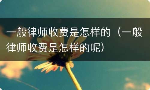 一般律师收费是怎样的（一般律师收费是怎样的呢）