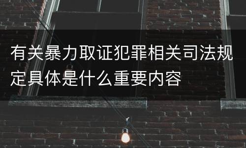 有关暴力取证犯罪相关司法规定具体是什么重要内容