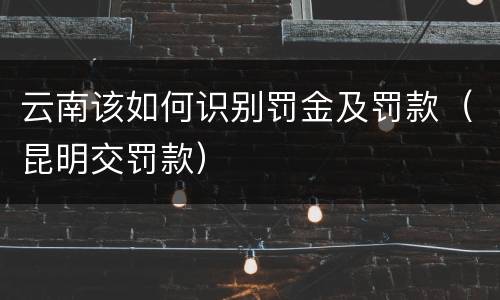 云南该如何识别罚金及罚款（昆明交罚款）