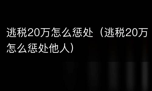 逃税20万怎么惩处（逃税20万怎么惩处他人）
