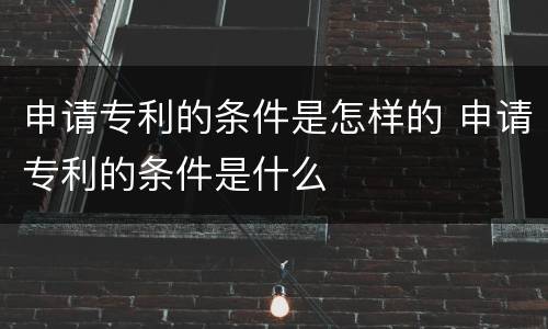 申请专利的条件是怎样的 申请专利的条件是什么