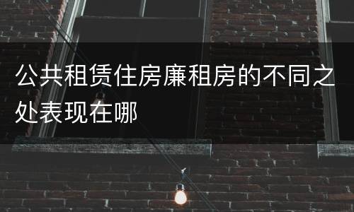公共租赁住房廉租房的不同之处表现在哪