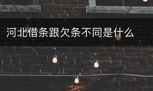 河北借条跟欠条不同是什么