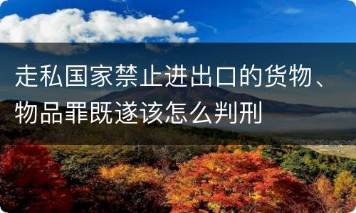走私国家禁止进出口的货物、物品罪既遂该怎么判刑