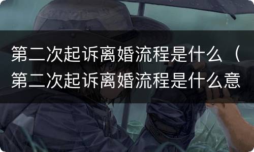第二次起诉离婚流程是什么（第二次起诉离婚流程是什么意思）