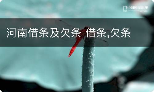 河南借条及欠条 借条,欠条