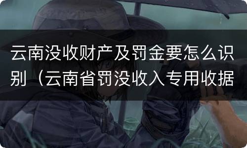云南没收财产及罚金要怎么识别（云南省罚没收入专用收据）