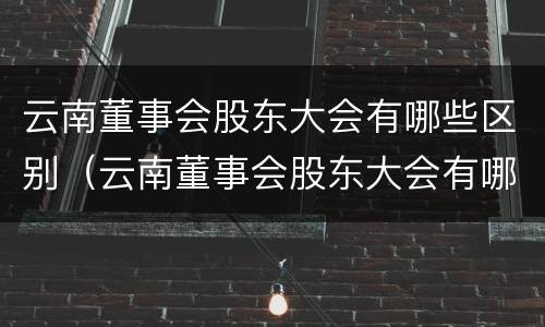 云南董事会股东大会有哪些区别（云南董事会股东大会有哪些区别和意义）