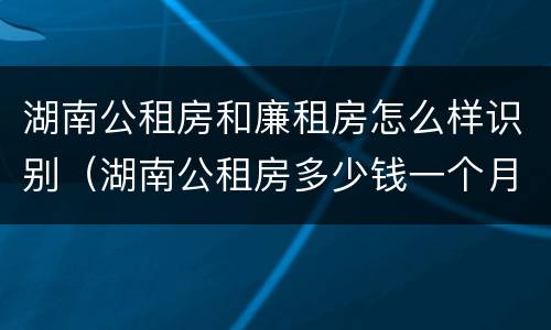 湖南公租房和廉租房怎么样识别（湖南公租房多少钱一个月）
