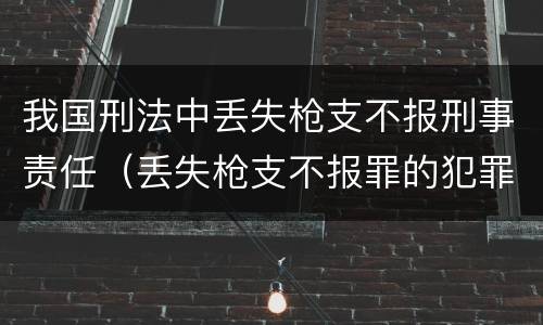 我国刑法中丢失枪支不报刑事责任（丢失枪支不报罪的犯罪主体是）