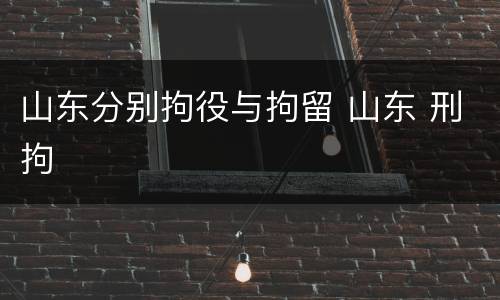 山东分别拘役与拘留 山东 刑拘
