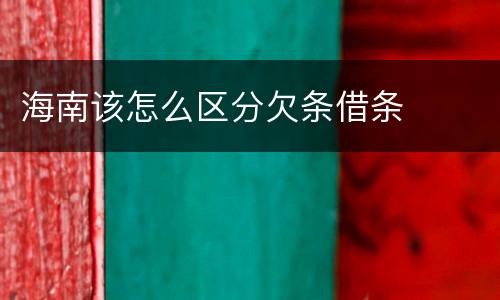 海南该怎么区分欠条借条