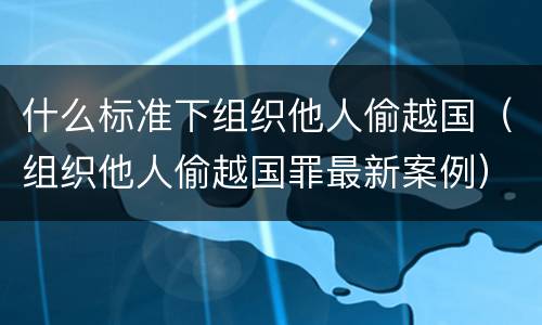 什么标准下组织他人偷越国（组织他人偷越国罪最新案例）