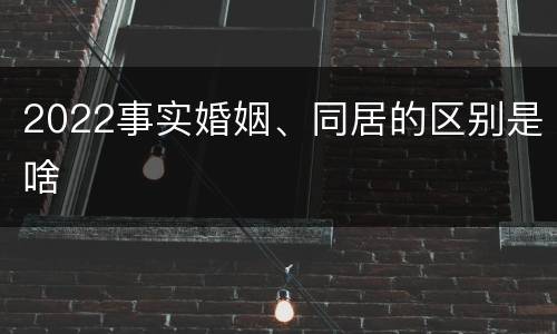 2022事实婚姻、同居的区别是啥