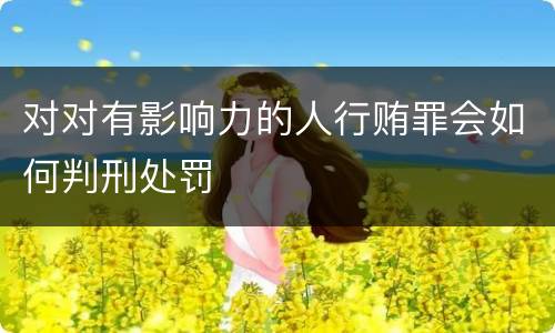 对对有影响力的人行贿罪会如何判刑处罚